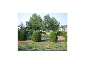 10 Mockingbird Dr, Hamilton, NJ 08690 photo 4