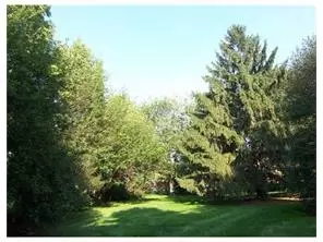 2 Longview Rd, Edison, NJ 08820 photo 2