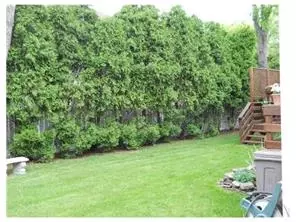 5 Holly Ct, Middlesex, NJ 08846 photo 5