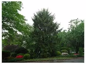 69 Pheasant Run, Edison, NJ 08820 photo 11