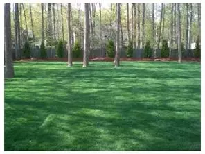 9 David Ct, Edison, NJ 08820 photo 10