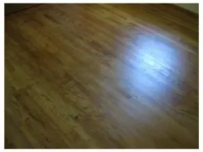 168 Old Post, Edison, NJ 08817 photo 9