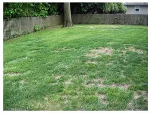 33 Mead Ave, Middlesex, NJ 08846 photo 16