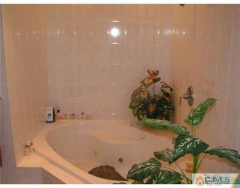 240 Shepherd Ave, Middlesex, NJ 08846 photo 3