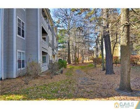 810 Meadow Ct, Helmetta, NJ 08828 photo 16