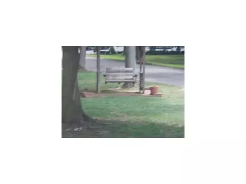 233 Fleet Ave, Edison, NJ 08820 photo 12