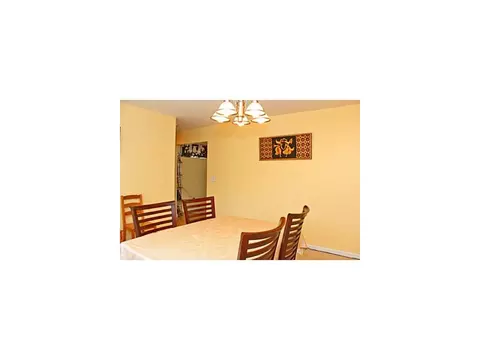 166 Winthrop Rd, Edison, NJ 08817 photo 8