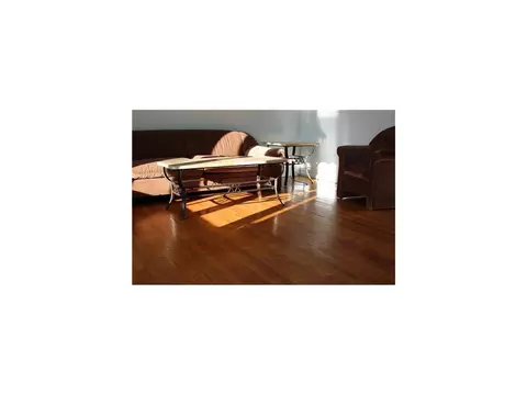 14 Fairmount Ave, Edison, NJ 08820 photo 7