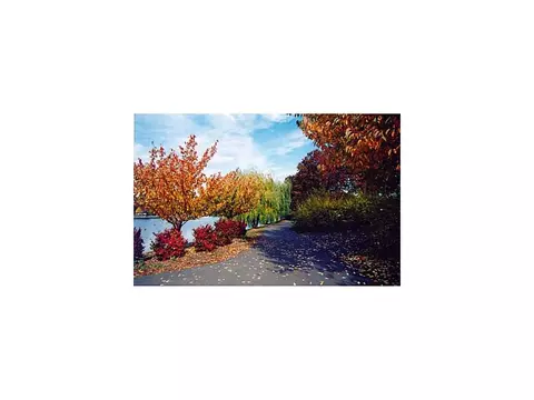 20 Elm St, Edison, NJ 08817 photo 19