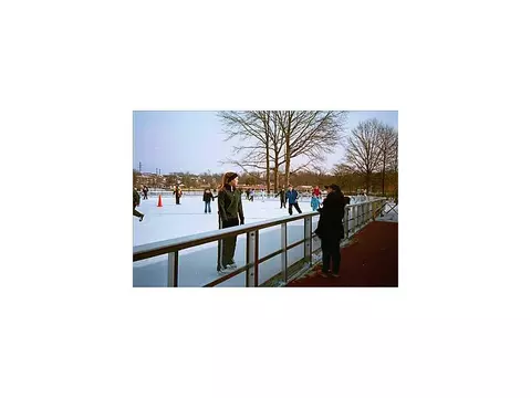 20 Elm St, Edison, NJ 08817 photo 25