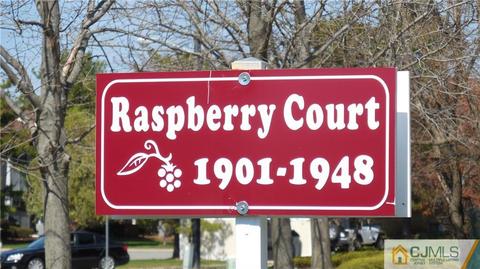 1913 Raspberry Ct, Edison, NJ 08817 photo 8