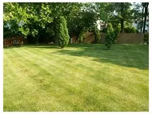 116 E Calvert Ave, Edison, NJ 08820 photo 10