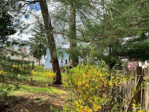 19 Middlesex Ave, Edison, NJ 08820 photo 17
