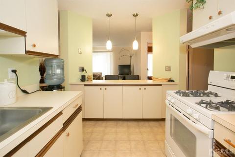 115 Park Gate Dr, Edison, NJ 08820 photo 14