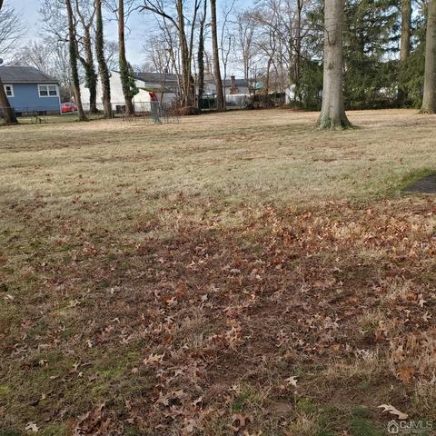 65 Orchard Rd, Middlesex, NJ 08846 photo 3