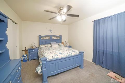 52 Nelson Ave, Edison, NJ 08817 photo 15