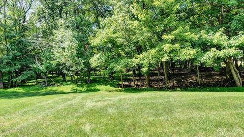 3404 Spring Brook Dr, Edison, NJ 08820 photo 32