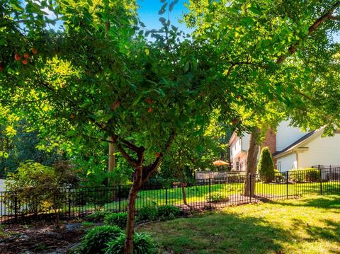 4 Eagle Ct, Old Bridge, NJ 08857 photo 36