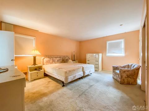 19 Freeman Ave, Edison, NJ 08820 photo 7