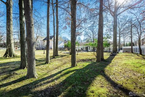 3 David Ct, Edison, NJ 08820 photo 51