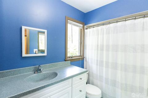 11 Webster Pl, Edison, NJ 08817 photo 45