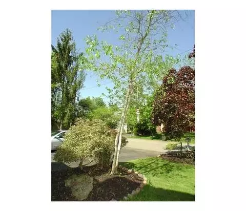 25 Harold Ave, Edison, NJ 08820 photo 25