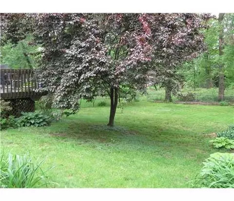 515 Melrose Ave, Middlesex, NJ 08846 photo 4