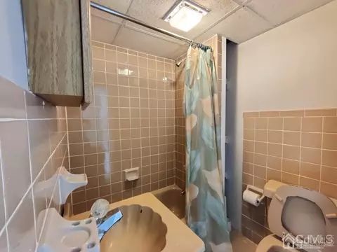 47 Brookside Rd, Edison, NJ 08817 photo 36