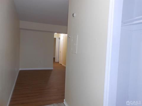 1423 Raspberry Ct, Edison, NJ 08817 photo 19