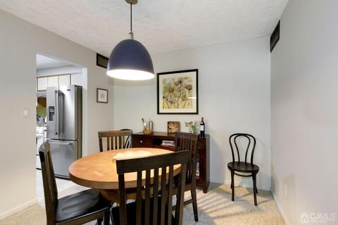 910 Meadow Ct, Helmetta, NJ 08828 photo 11