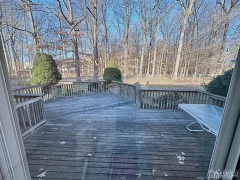3 Flower Ct, Edison, NJ 08820 photo 19