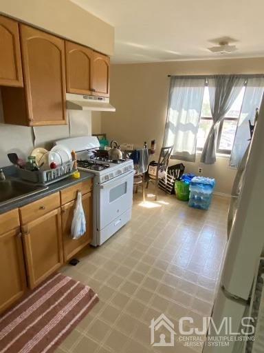1621 Raspberry Ct, Edison, NJ 08817 photo 4