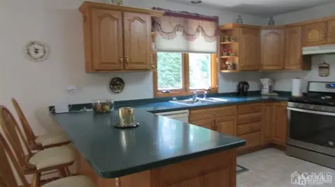 4 Goodwill Pl, Edison, NJ 08837 photo 21