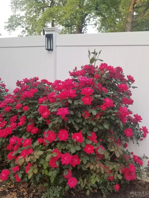 2 Anne St, Middlesex, NJ 08846 photo 3