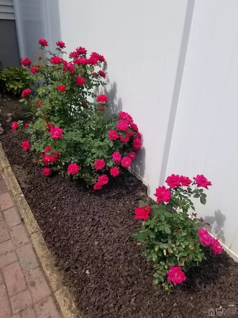 2 Anne St, Middlesex, NJ 08846 photo 4