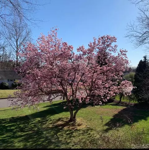 8 Fielding Pl, Edison, NJ 08820 photo 23