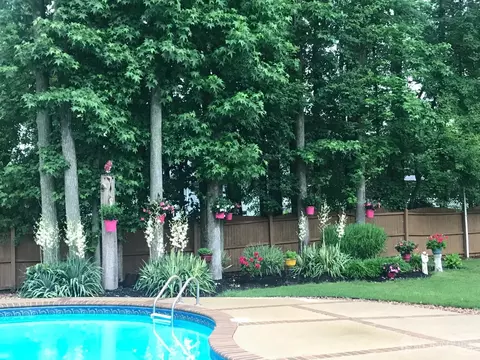 14 Daniel Pl, Matawan, NJ 07747 photo 31