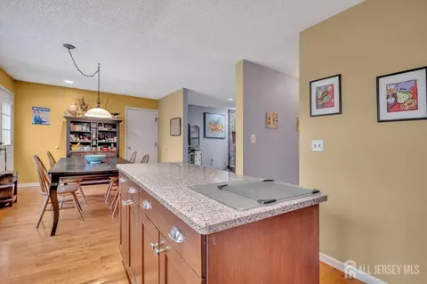 25 Franklin Dr, Plainsboro, NJ 08536 photo 12