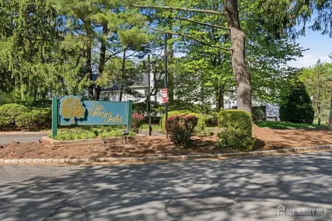 Other - 103 Timber Oaks Rd, Edison, NJ 08820 photo 10 of 10