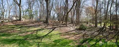 Other - 7 Cactus Ct, Edison, NJ 08820 photo 13 of 15