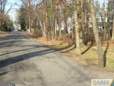 1 Devon Rd, Colonia, NJ 07067 photo 6