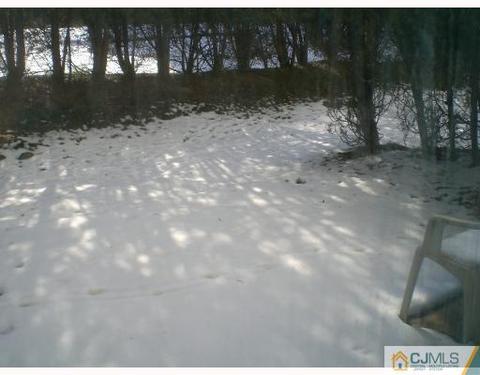 4102 Springbrook Dr, Edison, NJ 08820 photo 10