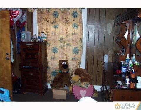 316 Monroe Ave, Plainfield, NJ 07060 photo 6