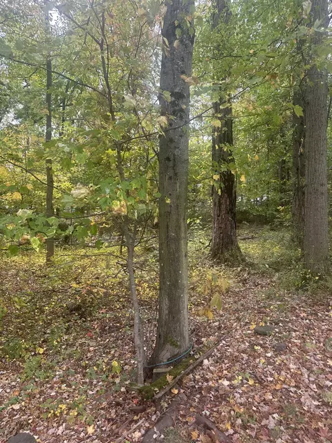 136 Black Horse Ln, South Brunswick, NJ 08902