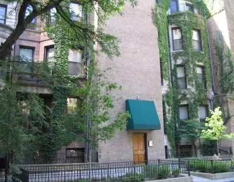 63 E Cedar #2b, Chicago, IL 60611 photo 1
