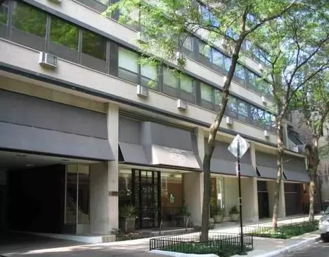 33 E Cedar St #19f, Chicago, IL 60611 photo 1