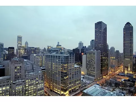 250 E Pearson #3203, Chicago, IL 60611 photo 9