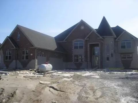 21175 Jim Johnson Ln, Steger, IL 60475 photo 1