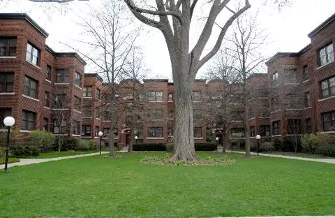 1133 Maple Ave #2E, Evanston, IL 60202 photo 1