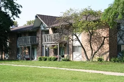 16 W611 Mockingbird Ln #203, Willowbrook, IL 60527 photo 1